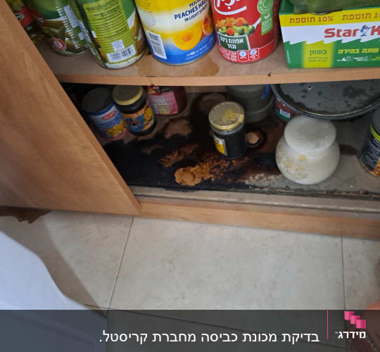 ארון מטבח עם קופסאות שימורים ומיכלים שונים
